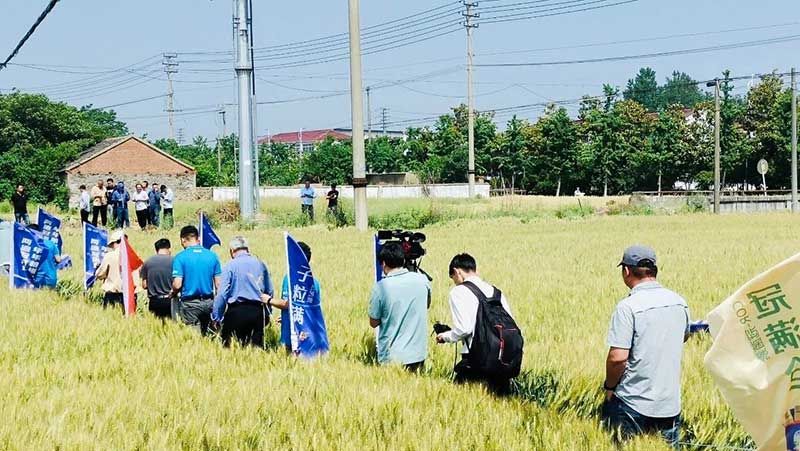 520健康植保日——擁抱綠色農(nóng)業(yè)，我們?cè)谛袆?dòng)