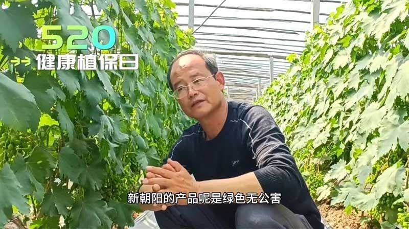 520健康植保日——擁抱綠色農(nóng)業(yè)，我們?cè)谛袆?dòng)