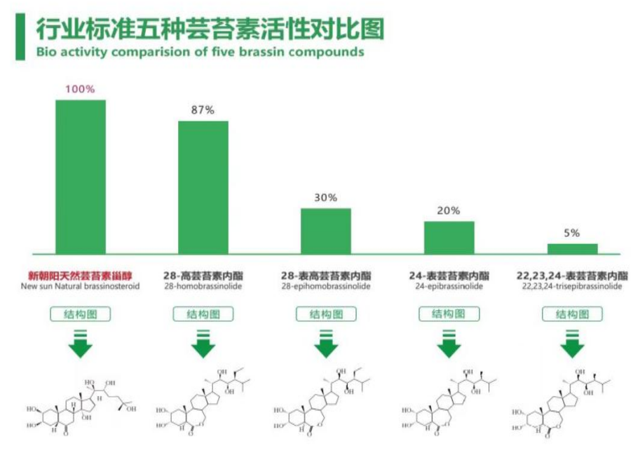 小麥拌種選新朝陽(yáng)天然蕓苔素，讓小麥高產(chǎn)贏在起跑線上?。ㄐ←溤谑裁磿r(shí)候用蕓苔素效果最佳）